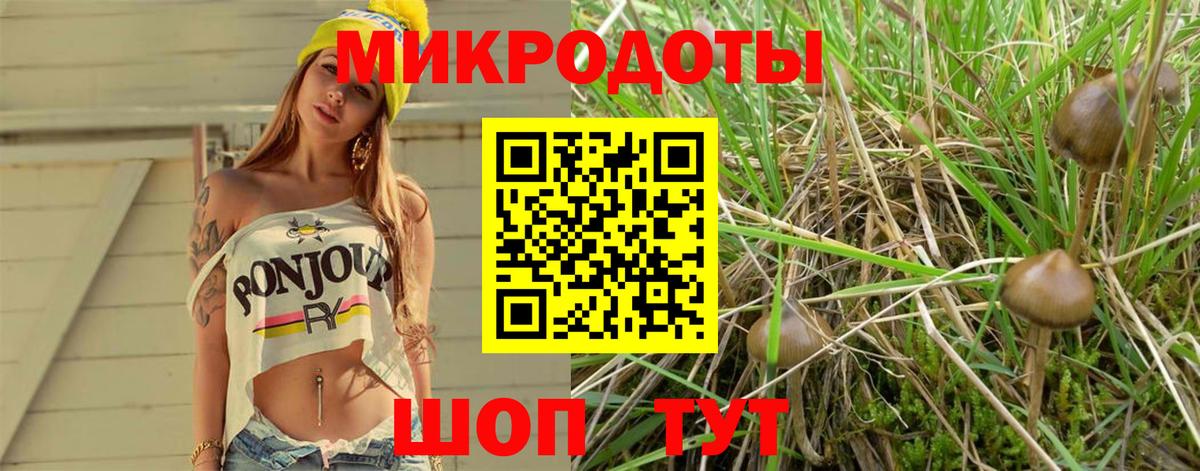 Малоярославец  Галлюциногенные грибы Magic Shrooms  где купить   Вход с VPN 